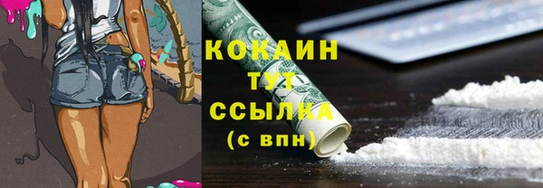 спиды Рославль