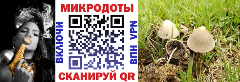 Псилоцибиновые грибы GOLDEN TEACHER Фролово